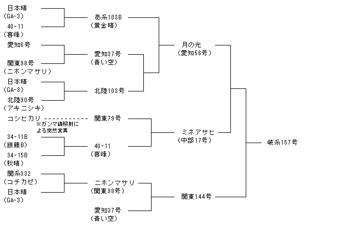 岐系157号