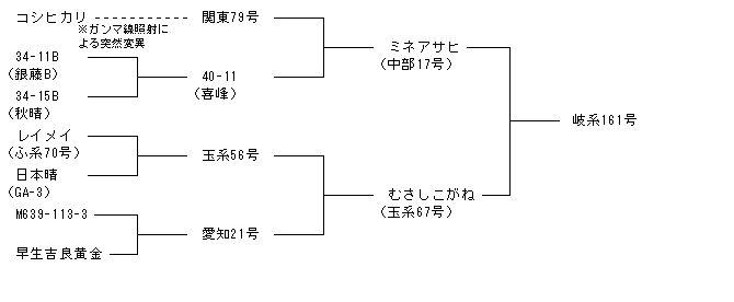 岐系161号