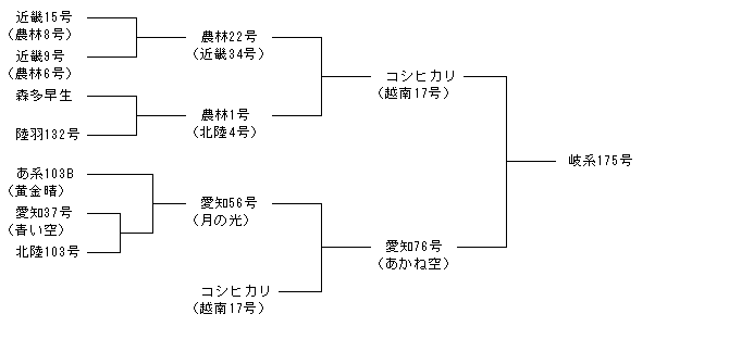 岐系175号