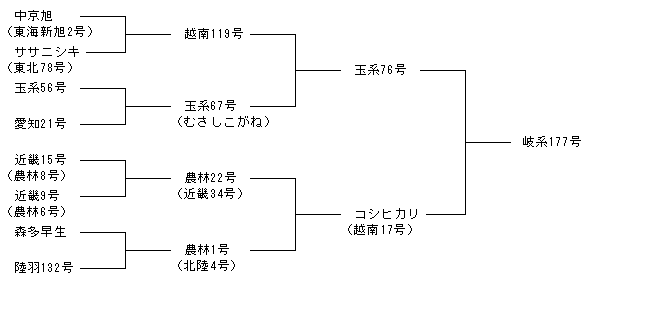 岐系177号