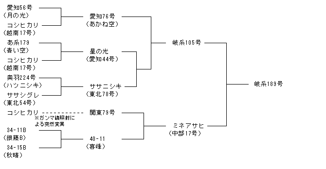 岐系189号