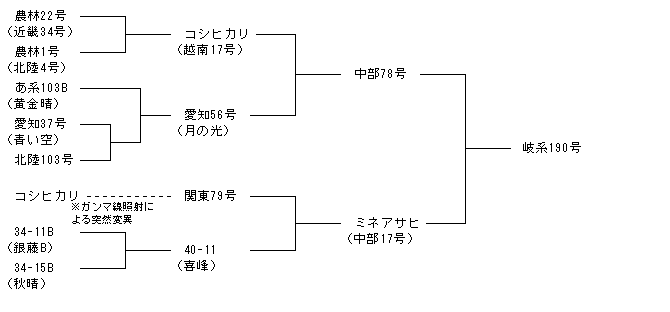 岐系190号