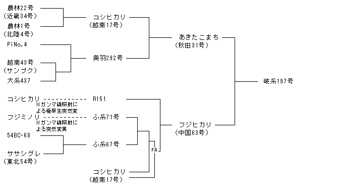 岐系197号