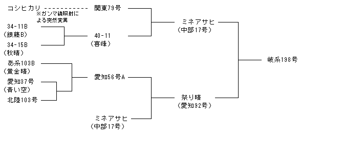 岐系198号