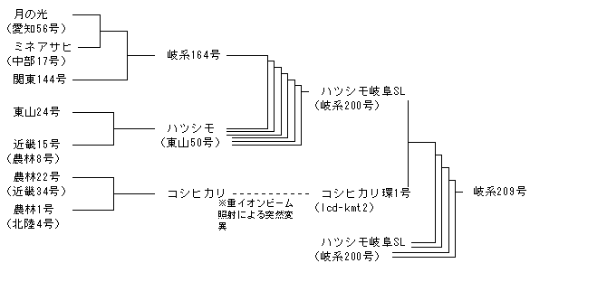 岐系209号