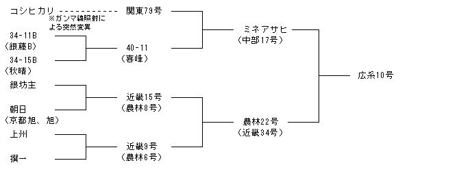 広系10号