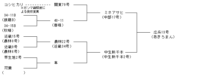 広系13号