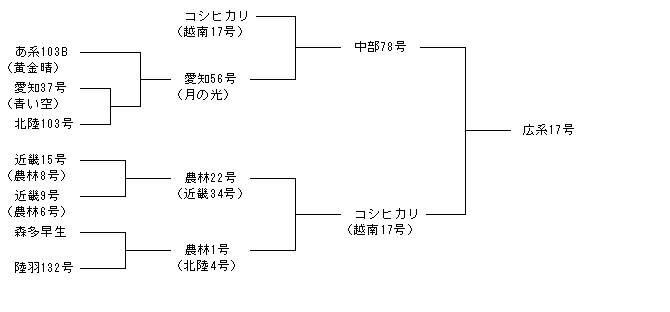広系17号