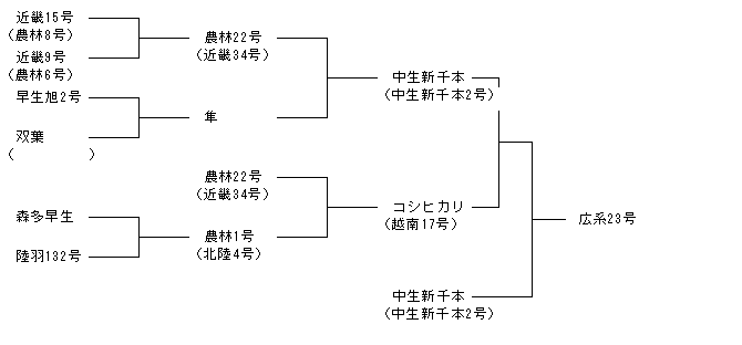 広系23号