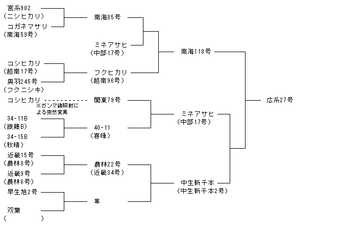 広系27号