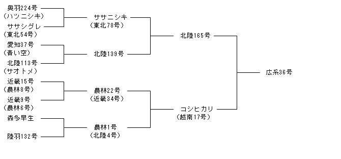 広系36号