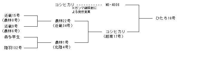 ひたち16号