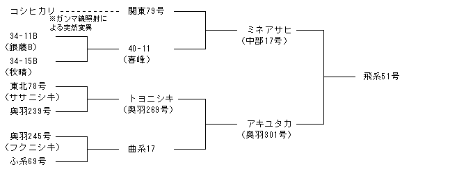 飛系51号