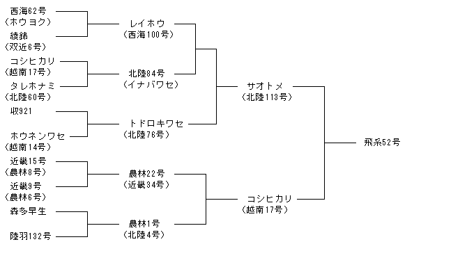 飛系52号