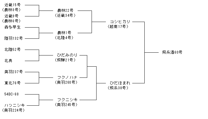 飛系酒60号