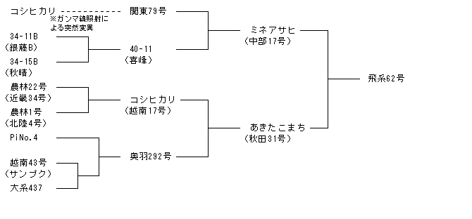 飛系62号