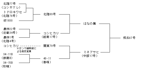 飛系67号