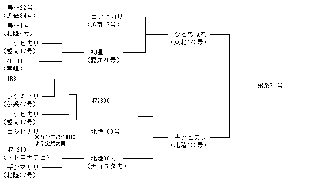 飛系71号