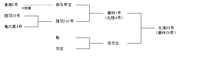 北海89号