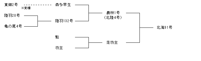 北海91号