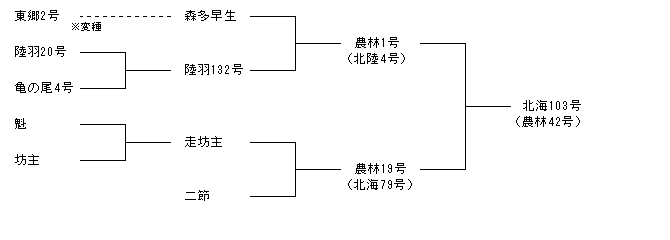 北海103号