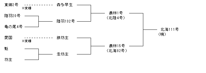 北海111号