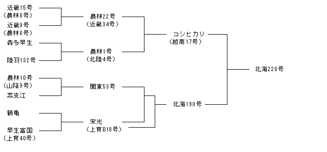 北海228号