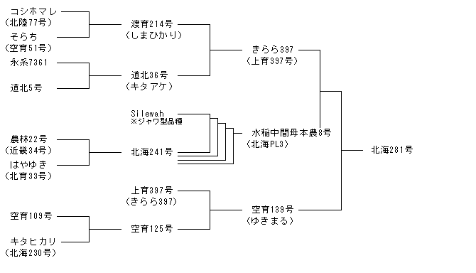 北海281号