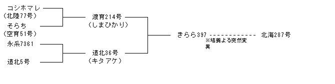 北海287号
