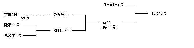 北陸19号