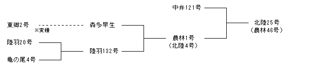 北陸25号
