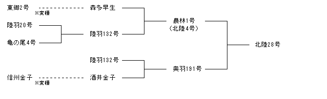 北陸28号