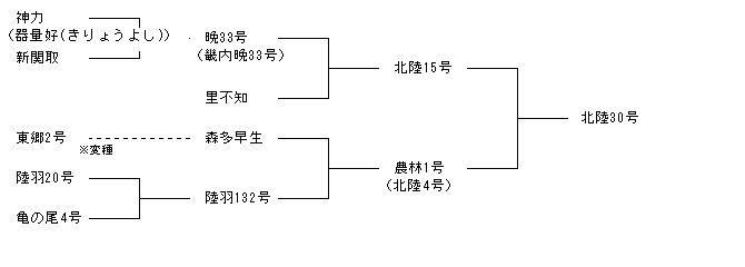 北陸30号