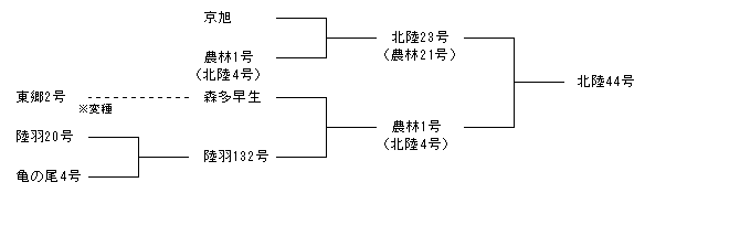 北陸44号