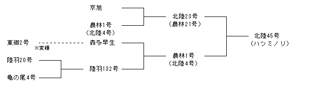 北陸45号