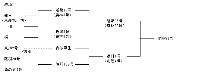 北陸53号