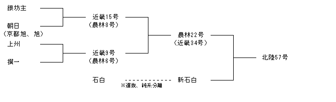 北陸57号