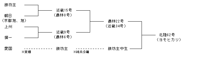 北陸62号