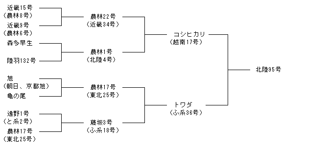 北陸95号