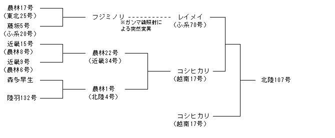 北陸107号