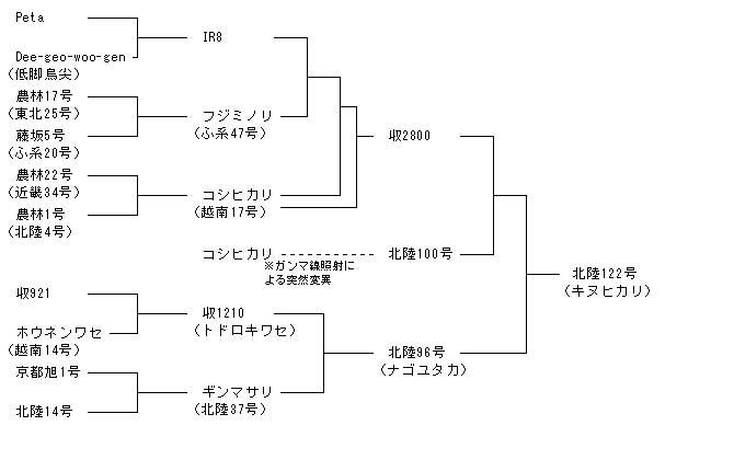 北陸122号