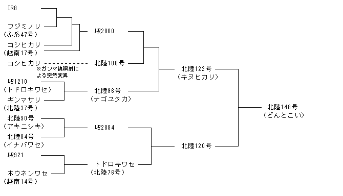 北陸148号