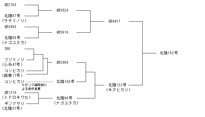 北陸152号