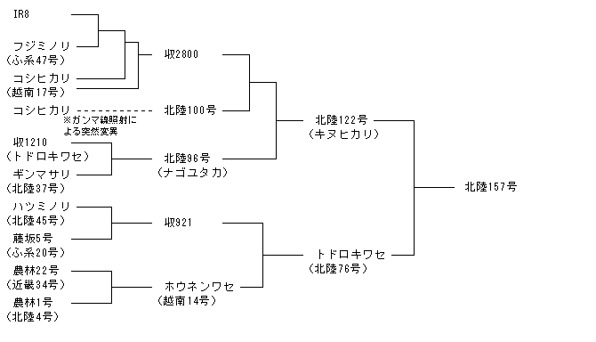 北陸157号