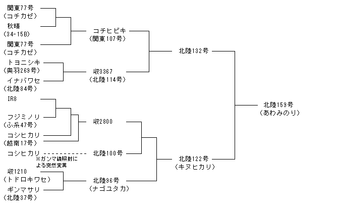 北陸159号