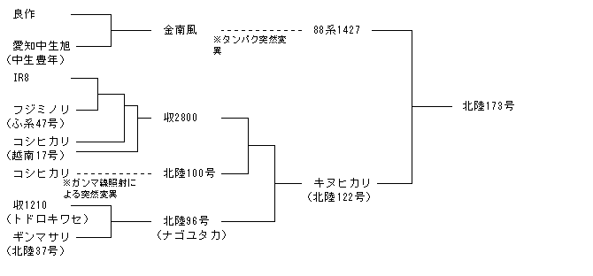 北陸173号