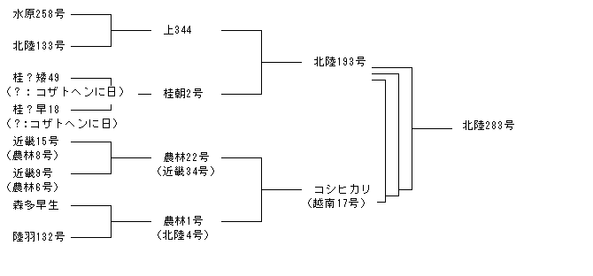 北陸283号