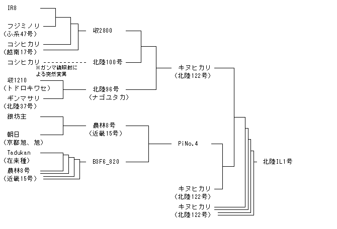 北陸IL1号