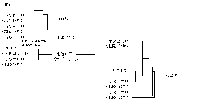 北陸IL2号