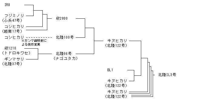 北陸IL3号
